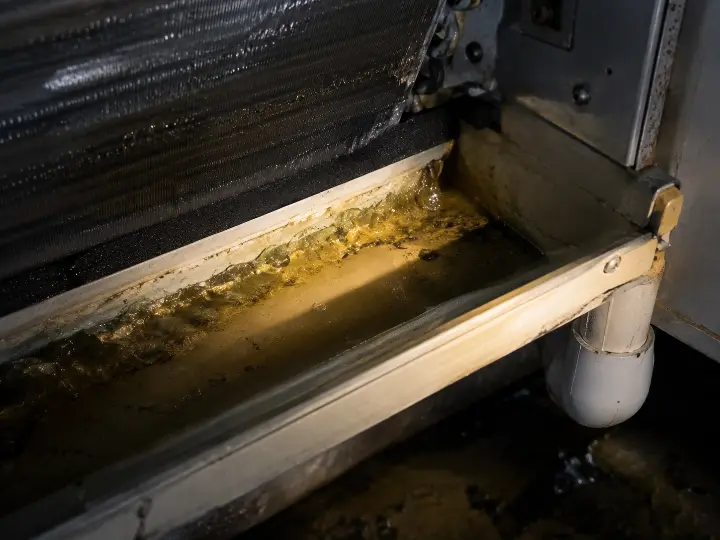 Condensate drain pan in a dim, damp interior showing a thin jelly-like biological film near standing water, the buildup that gradually clogs the drain line.