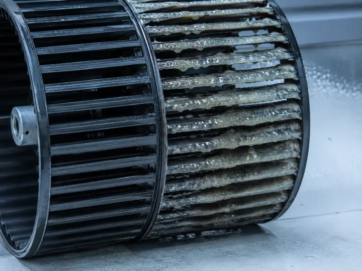 Blower wheel pulled from its housing showing uneven, jelly-like biofilm buildup across its blades, the imbalance that leads to vibration and bearing wear.